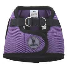 Load image into Gallery viewer, The Worthy Dog Sidekick Harness - Purple