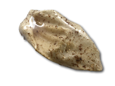 Krijon Individual Natural Cow Ear with Bully Dust