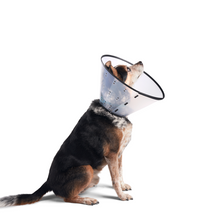 Load image into Gallery viewer, Dogswell® Remedy &amp; Recovery® Rigid E-Collar - Clear