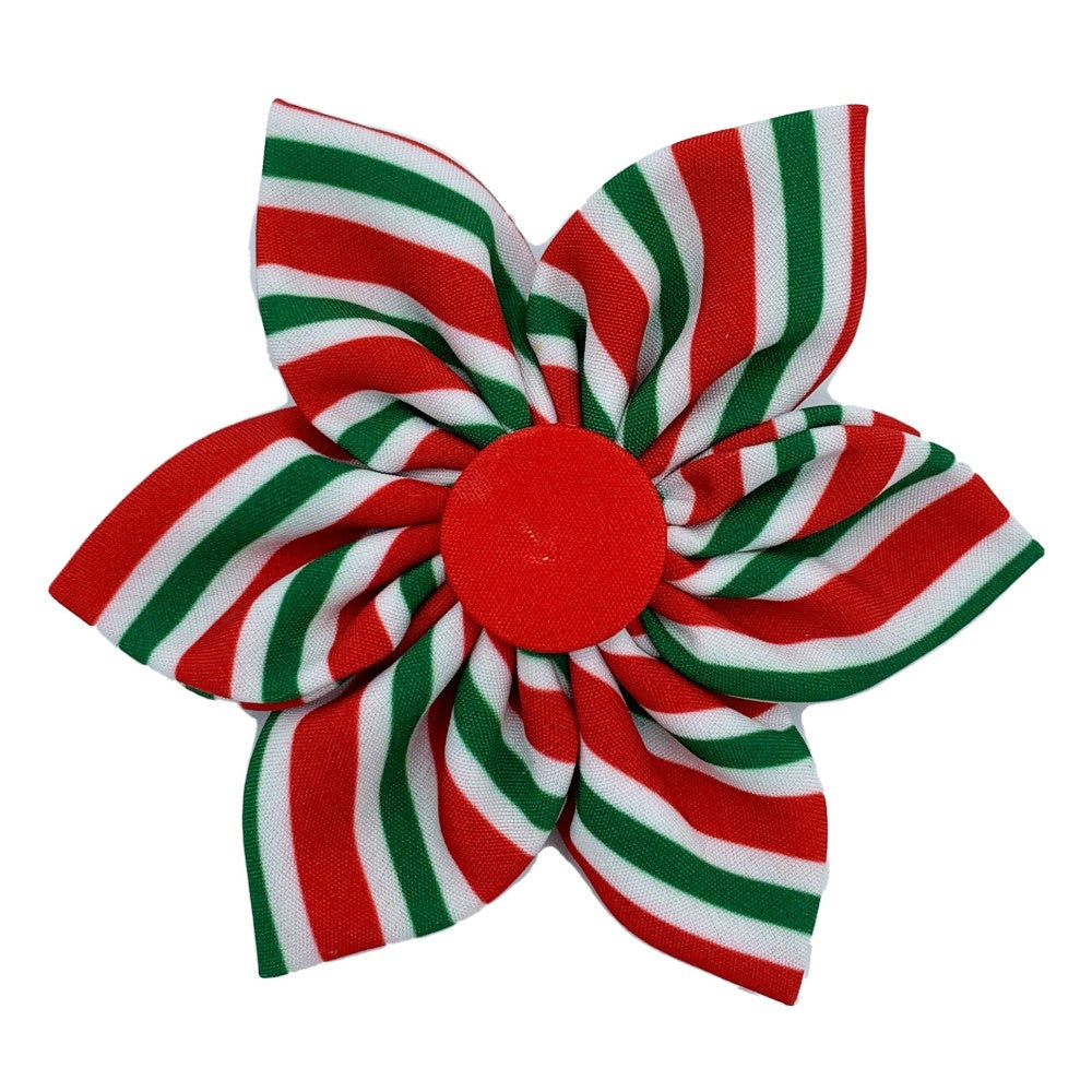 *Seasonal - WINTER* Huxley & Kent® Holiday Dog Collar Pin Wheel - Peppermint Stripe