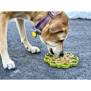 SodaPup Mandala Design Enrichment Tray - Green