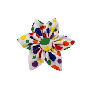 Huxley & Kent Happy Barkday Pinwheel