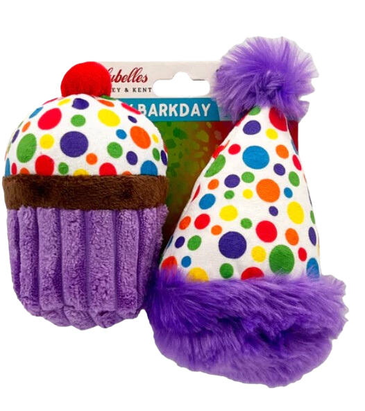 Lulubelles® Tiny Tuffs 2pk Dog Toy - It's My Barkday