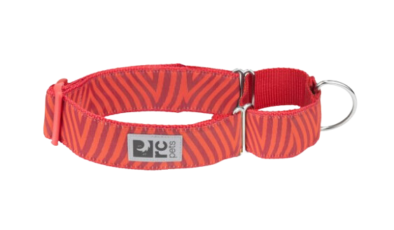 RC Pets Patterned All Webbing Training Dog Collar - Goji Chevron *DISC*