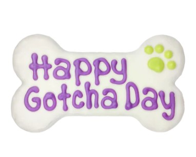 Bosco & Roxy's Bark-Day - Happy Gotcha Day Bone Dog Cookie 6