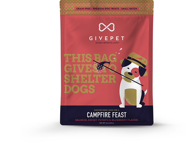 GivePet Biscuit Dog Treats - Grain-Free Campfire Feast 12oz Bag