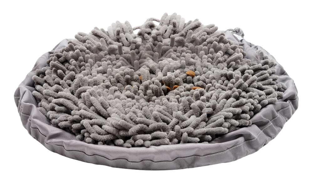 Pet Parents Forager Bowl 9