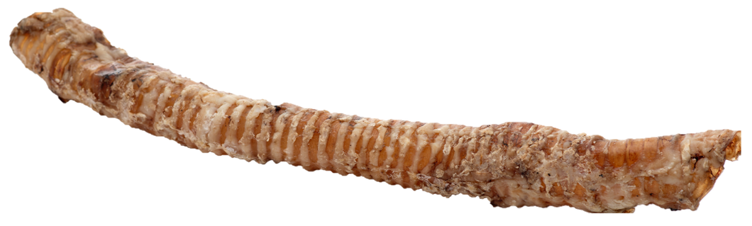Butcher's Block Pet Treats Individual Whole Krunchie Tube Wrapped Trachea 17-21