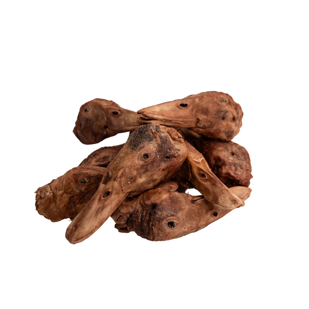 Momentum Freeze-Dried Individual Duck Head
