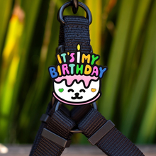 Load image into Gallery viewer, Jiby Dog Crew Silicone Dog Badge Charm - Birthday