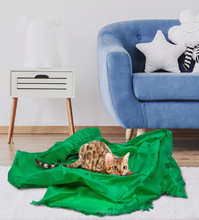 Load image into Gallery viewer, Dezi &amp; Roo Magic Carpet - Play Tent for Cats - Green
