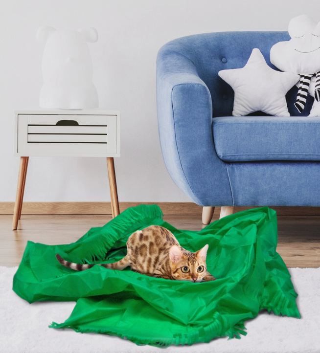 Dezi & Roo Magic Carpet - Play Tent for Cats - Green
