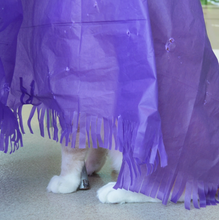 Load image into Gallery viewer, Dezi &amp; Roo Magic Carpet - Play Tent for Cats - Green