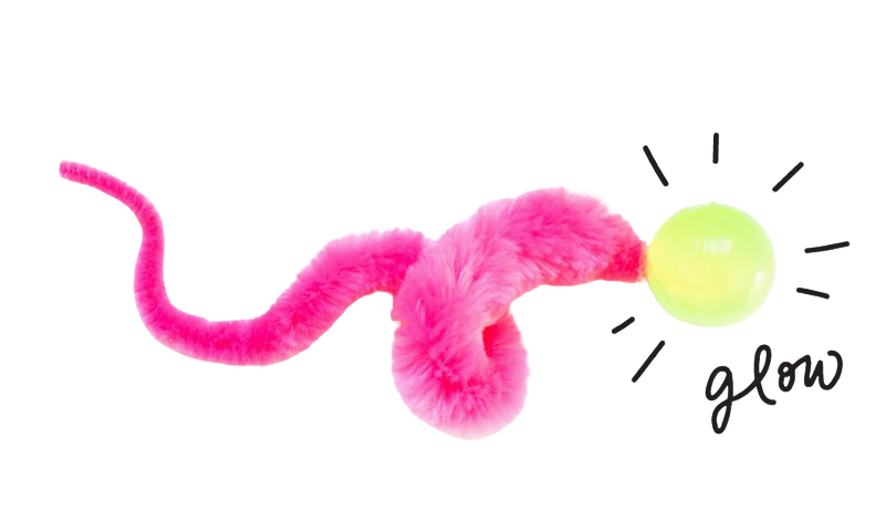 Dezi & Roo Wiggly Glow - Glow in the Dark Bouncy Ball Cat Toy