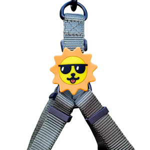 Jiby Dog Crew Silicone Dog Badge Charm - Suns Out