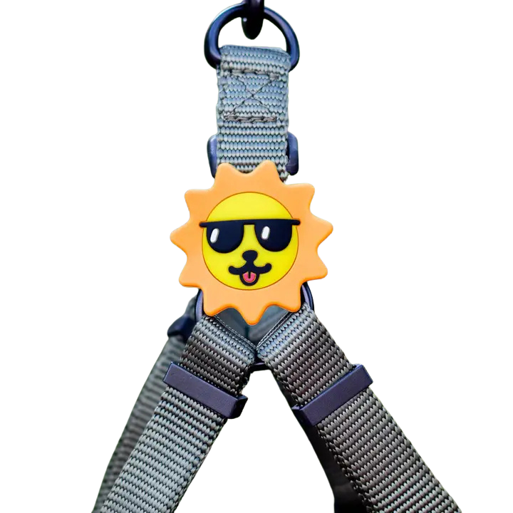 Jiby Dog Crew Silicone Dog Badge Charm - Suns Out