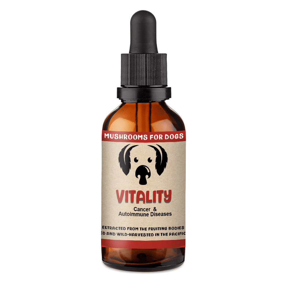 MycoDog Vitality - Mushroom Extract & Adaptogen Tincture 2fl oz 60ml Dropper