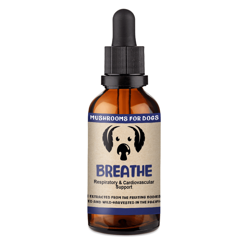 MycoDog Breathe - Mushroom Extract & Adaptogen Tincture 2fl oz 60ml Dropper