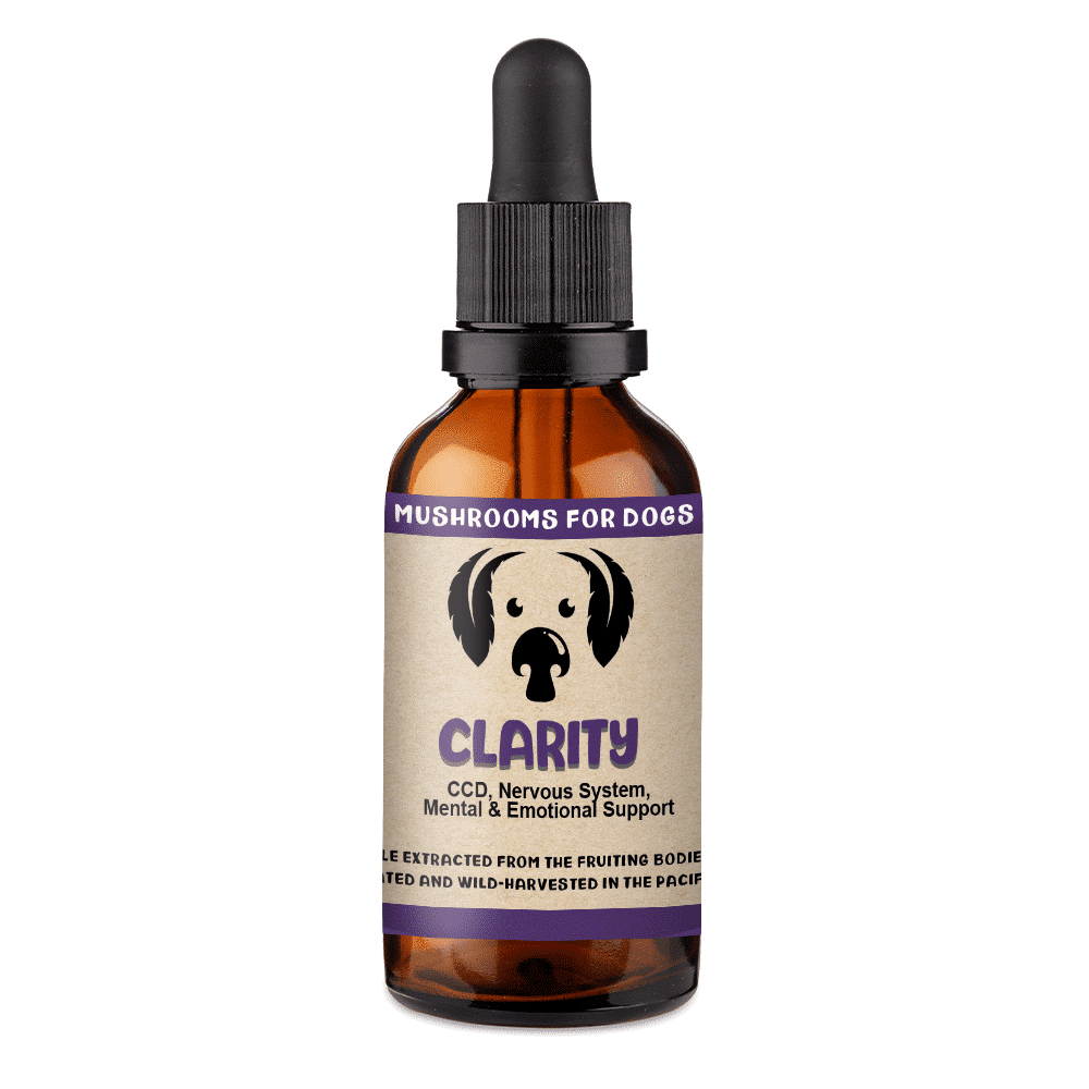 MycoDog Clarity - Mushroom Extract & Adaptogen Tincture 2fl oz 60ml Dropper