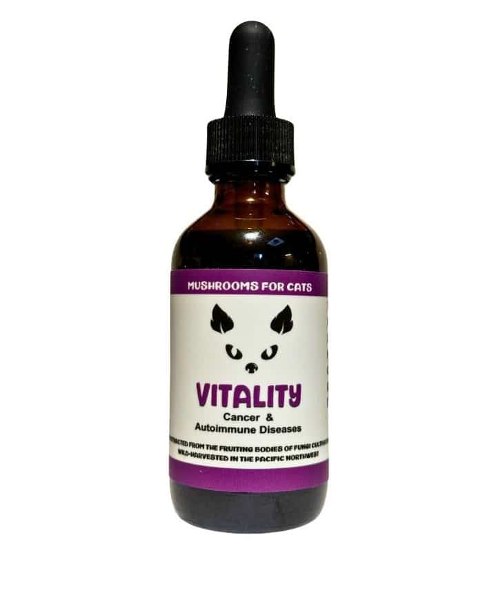 MycoCAT Vitality - Mushroom Extract & Adaptogen Tincture 2fl oz 60ml Dropper
