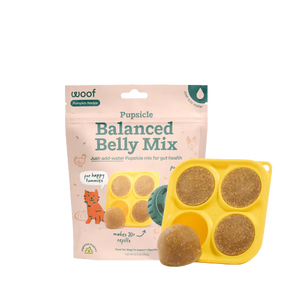 Woof Pupsicle Treat Mix for Dogs - Balanced Belly Pumpkin Recipe - 5.5oz Bag