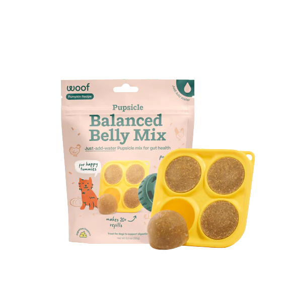 Woof Pupsicle Treat Mix for Dogs - Balanced Belly Pumpkin Recipe - 5.5oz Bag