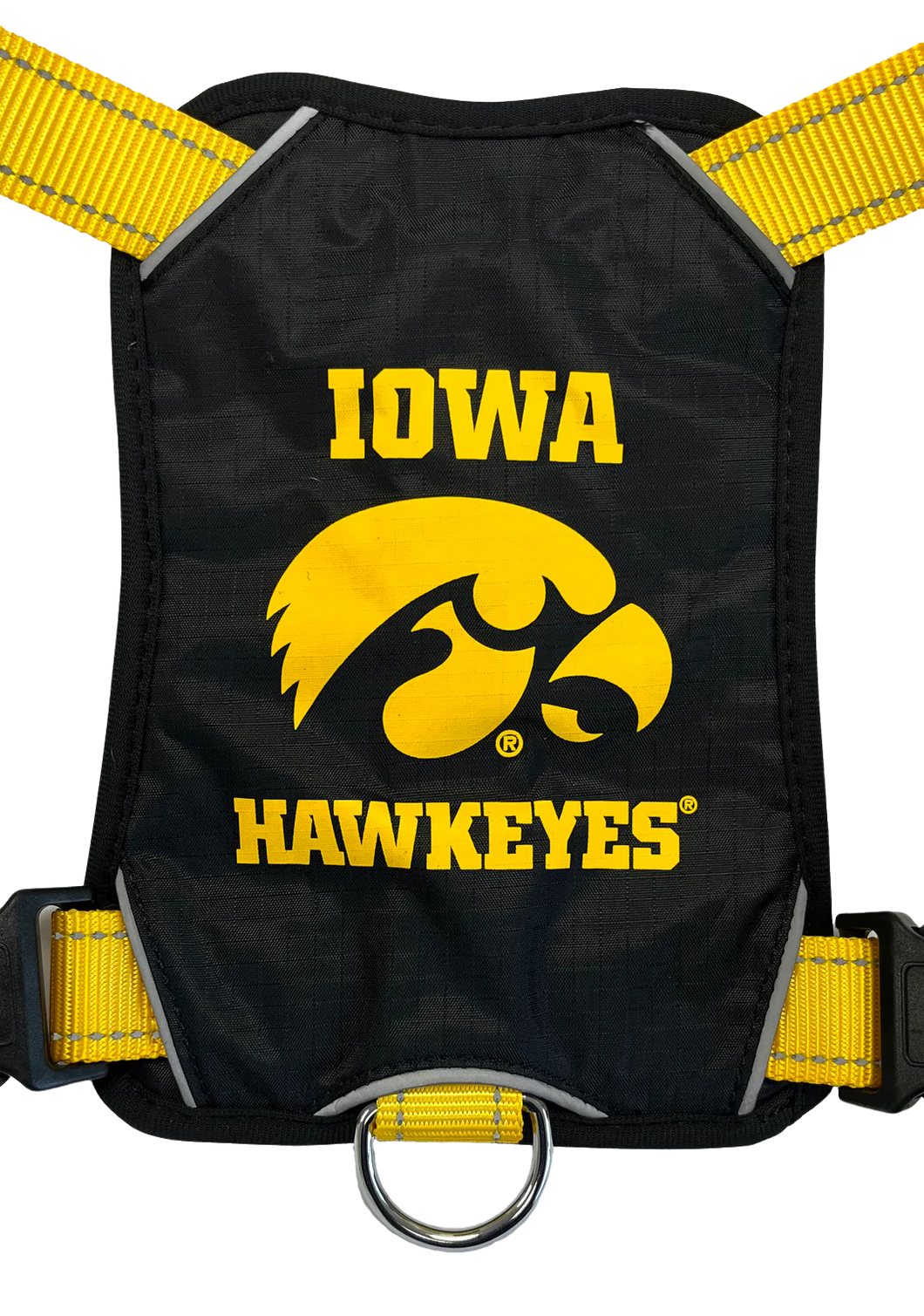 BayDog Iowa Hawkeyes Dog Harness