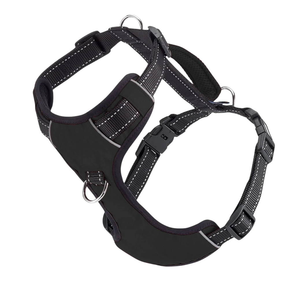 BayDog Chesapeake Bay Dog Harness - Covert Black -