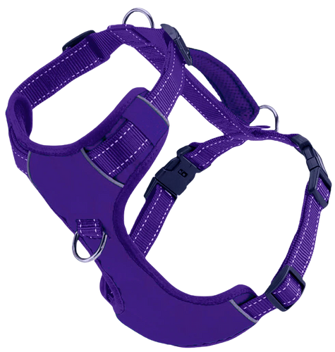 BayDog Chesapeake Bay Dog Harness - Purple Rain -