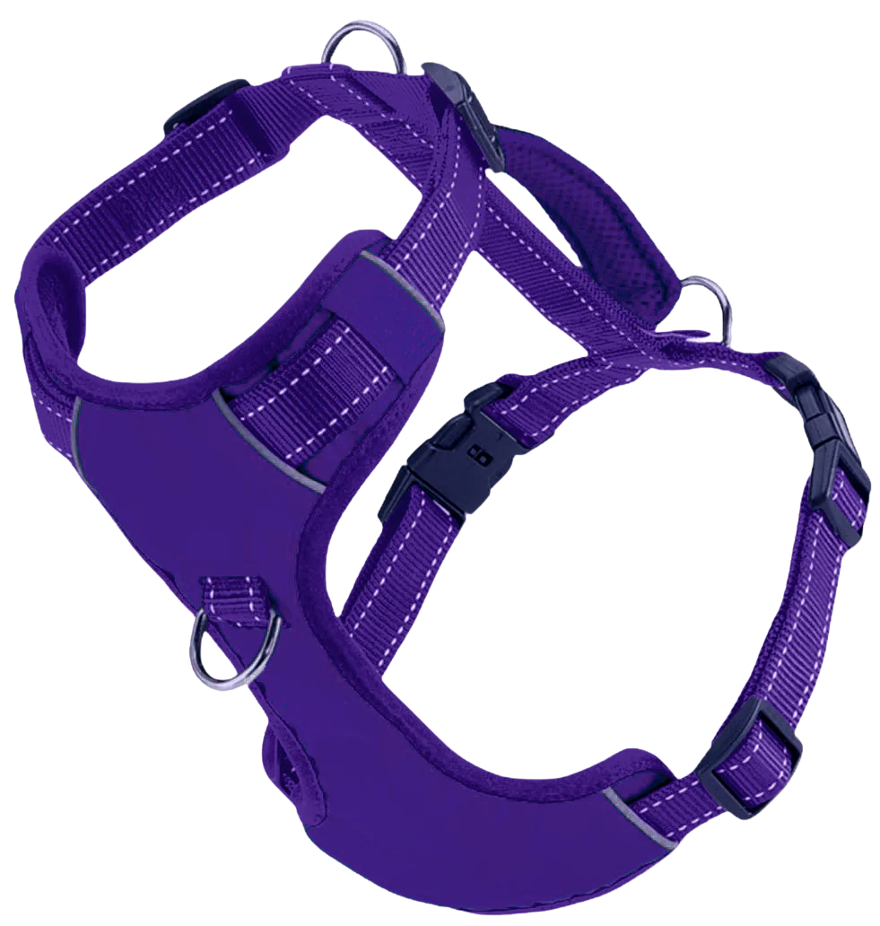 BayDog Chesapeake Bay Dog Harness - Purple Rain -