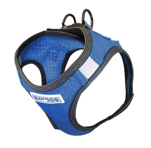 BayDog Liberty Bay Dog Harness - Baydog Blue -