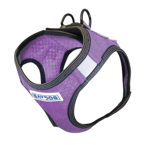 BayDog Liberty Bay Dog Harness - Lavender -