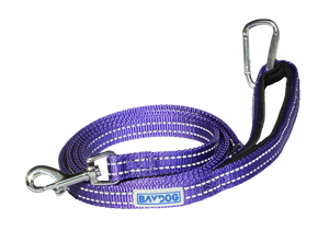 BayDog Pensacola Bay Dog Leash 6' for Small Dogs - Lavender