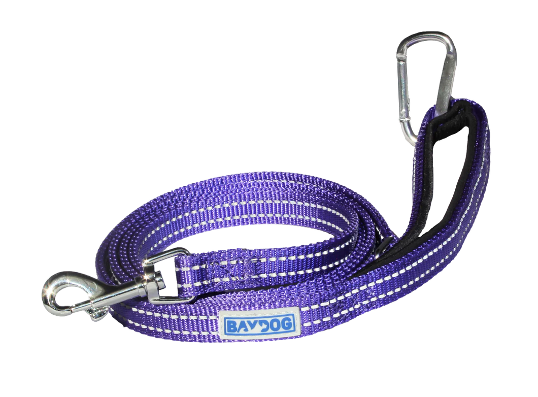 BayDog Pensacola Bay Dog Leash 6' for Small Dogs - Lavender