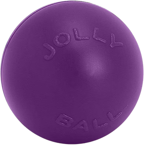digPETS Push-n-Play 14" Ball - Purple
