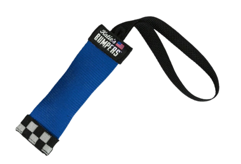 Katie's Bumpers Mini Sqwuggie Dog Toy - Blue