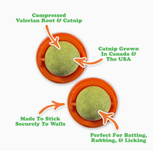 Load image into Gallery viewer, Meowijuana Kalico Kush Stick n' Lick Compressed Catnip 2pk