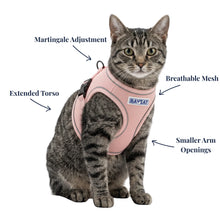 Load image into Gallery viewer, BayCat Cat Harness - Chesapeake Rose -