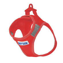 Load image into Gallery viewer, BayDog Liberty Bay Dog Harness - Clifford Red -