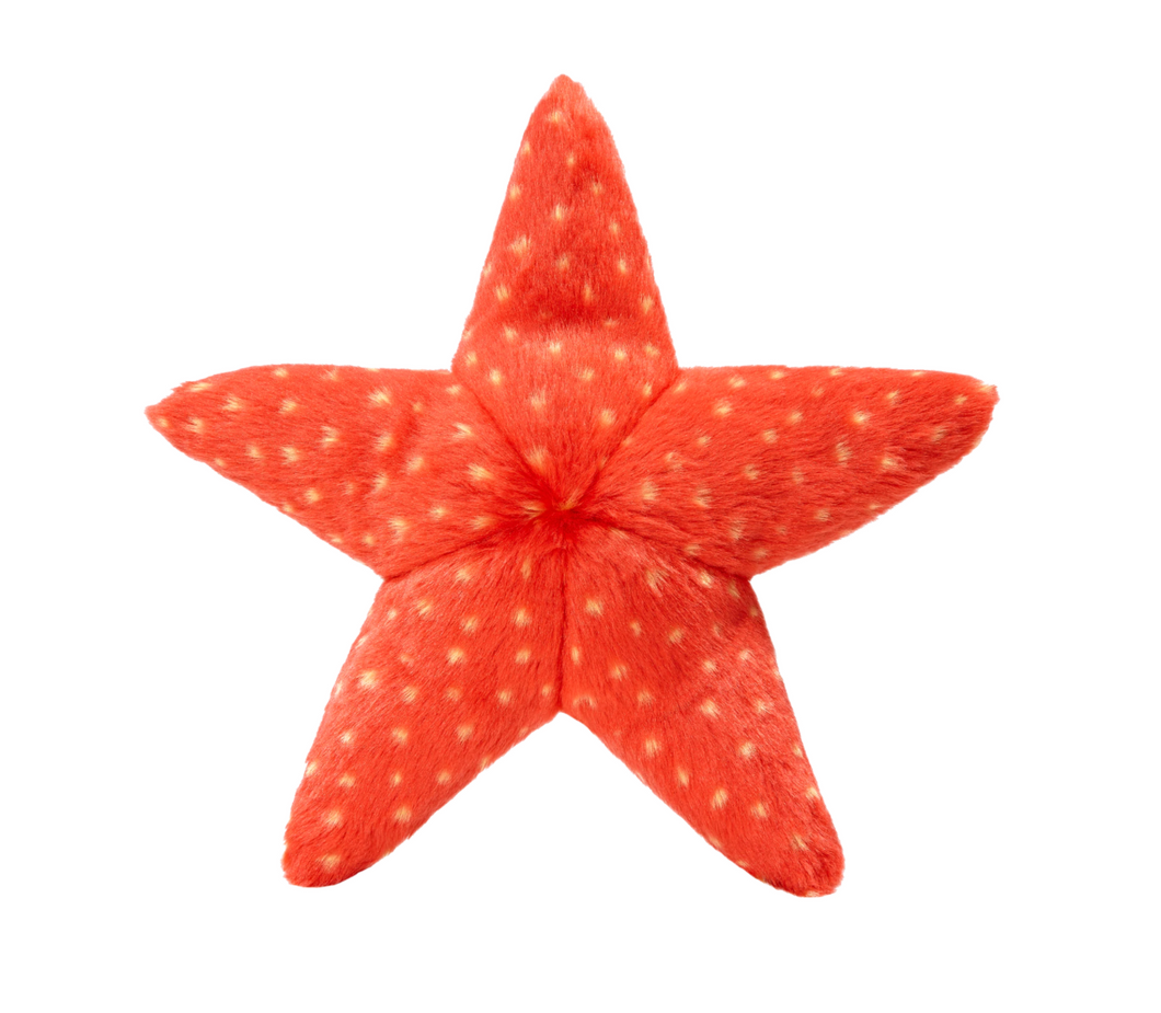Fluff & Tuff Ziggy Starfish