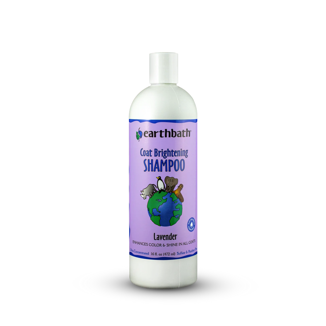 Earthbath Dog Shampoo - Coat Brightening Shampoo - Lavender - 16oz Bottle