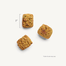 Load image into Gallery viewer, The Honest Kitchen Biscuit Dog Treats Bone Broth Bites Roasted with Beef Bone Broth &amp; Sweet Potatoes 8oz Bag