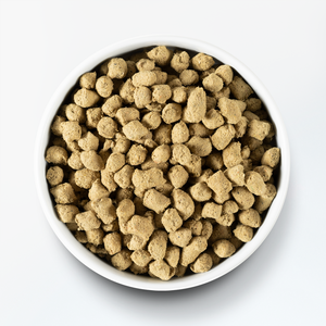 Open Farm Freeze-Dried Raw Morsels Dog Food Harvest Chicken Recipe