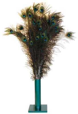 Vee Enterprises Individual Natural Peacock Feather Cat Toy