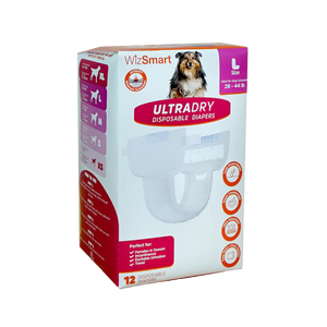 Wizsmart UltraDry Disposable Diapers 12pk - LRG