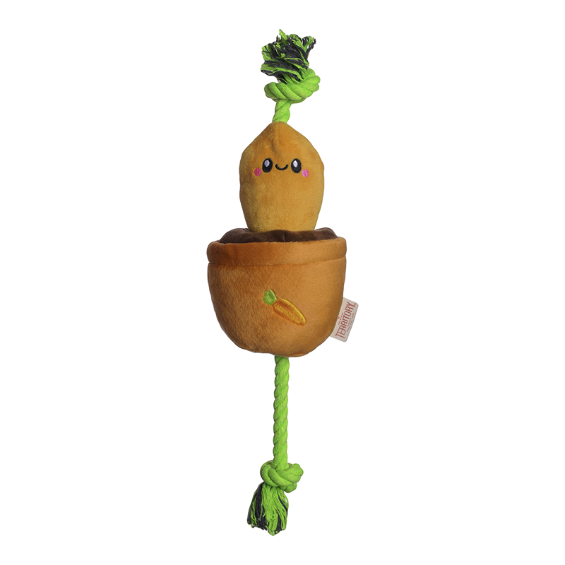 Territory Plush Treat & Tug Dog Toy with Rope - Carrot 15