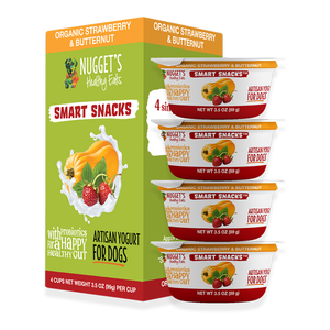 Nugget's Healthy Eats Dog Frozen Yogurt Strawberry 3.5oz 4 PACK