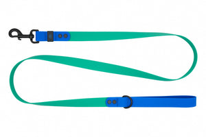 RC Pets Waterproof Dog Leash 1"x5' - Parakeet/Sapphire