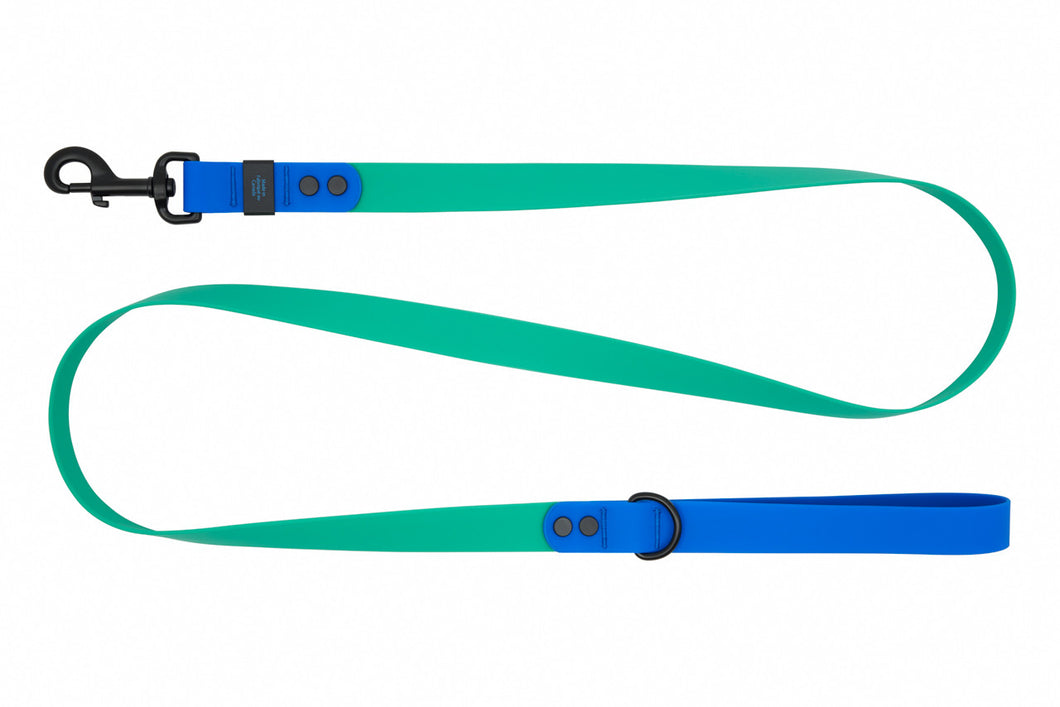 RC Pets Waterproof Dog Leash 1