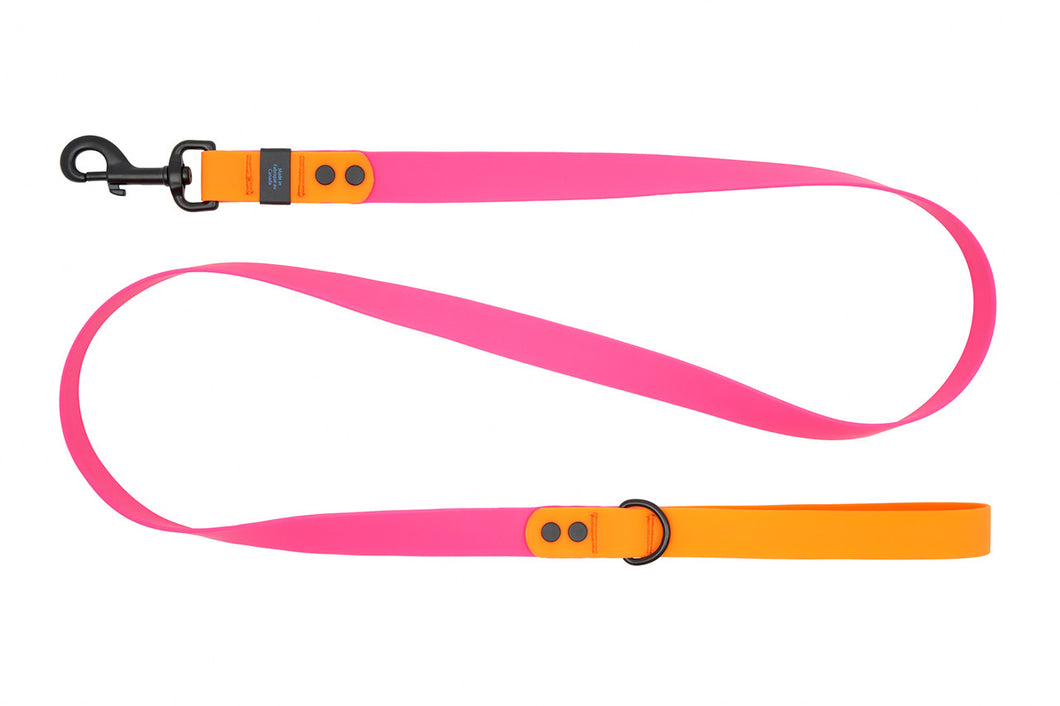 RC Pets Waterproof Dog Leash 1